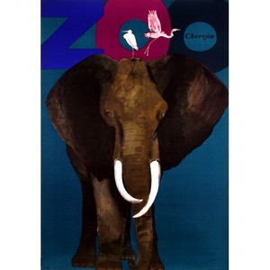 ZOO - Elephant and...