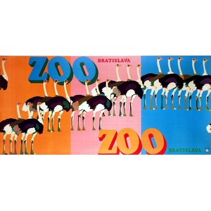 ZOO - Ostriches, Polish Poster