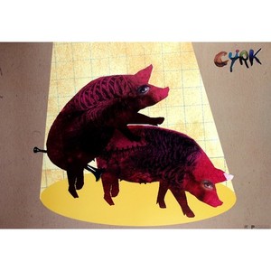 Two Pigs Polish Art Poster...